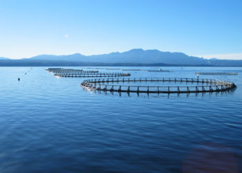 Salmon Farm Tasmania